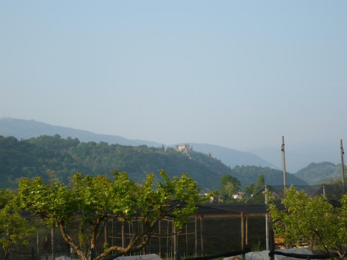 I Mirtilli Pianezze 외부 사진